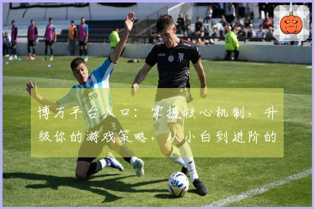 博万平台入口：掌握核心机制，升级你的游戏策略，从小白到进阶的质变之道
