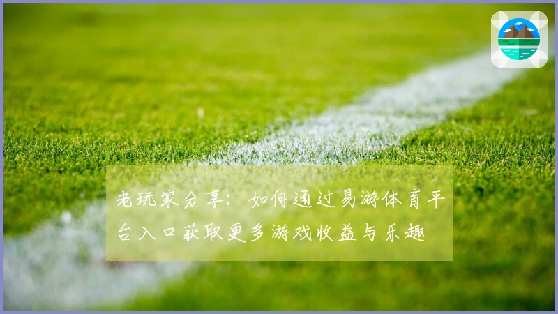 老玩家分享：如何通过易游体育平台入口获取更多游戏收益与乐趣
