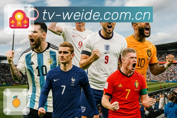 隐私与安全认证展示